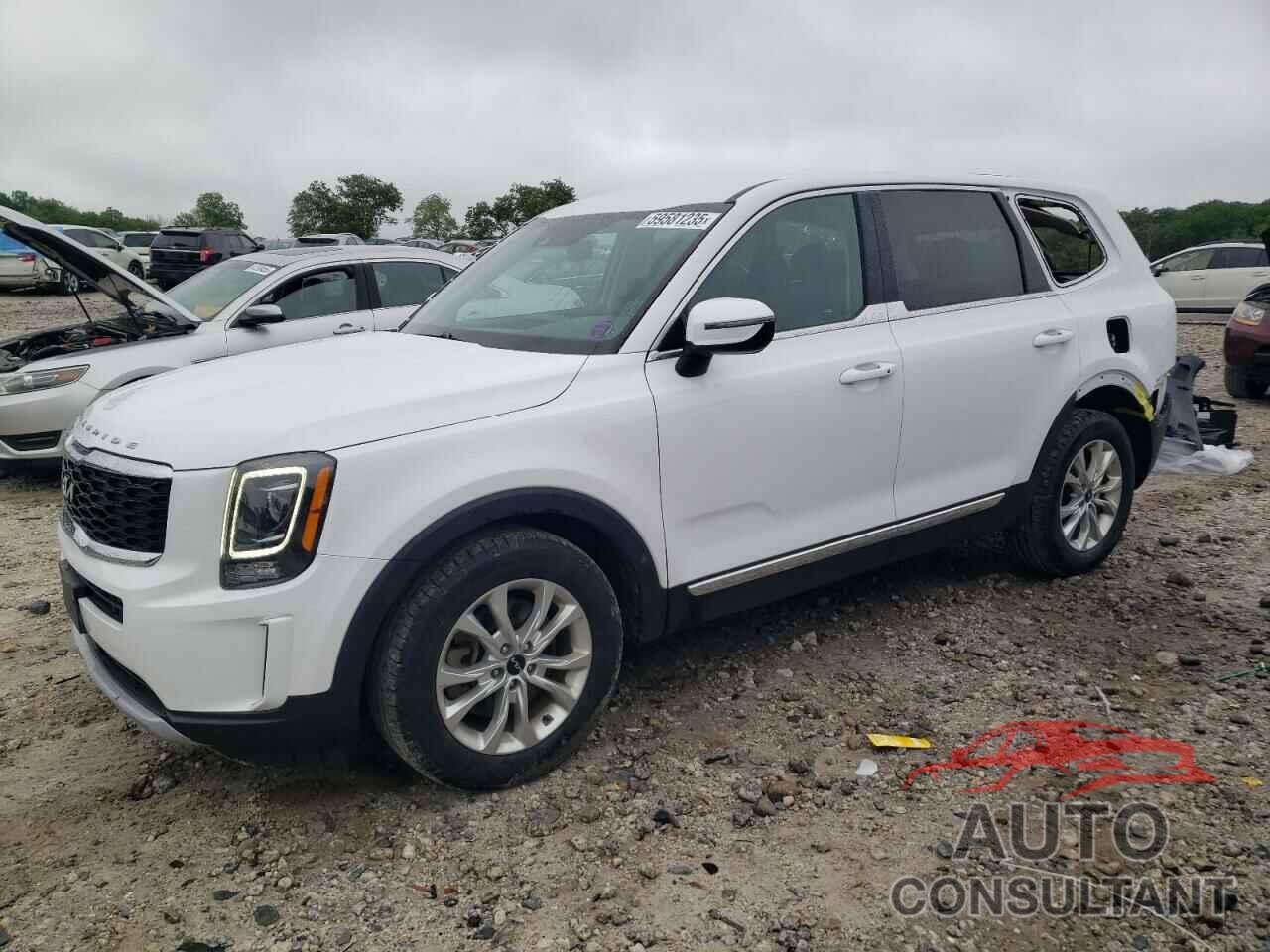 KIA TELLURIDE 2022 - 5XYP2DHC6NG286730