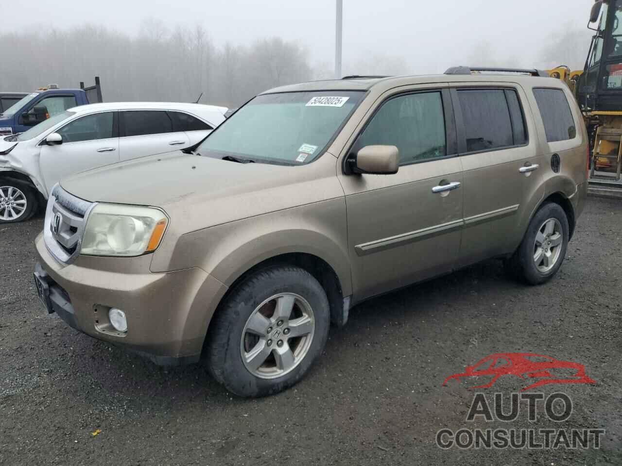 HONDA PILOT 2009 - 5FNYF48509B027772