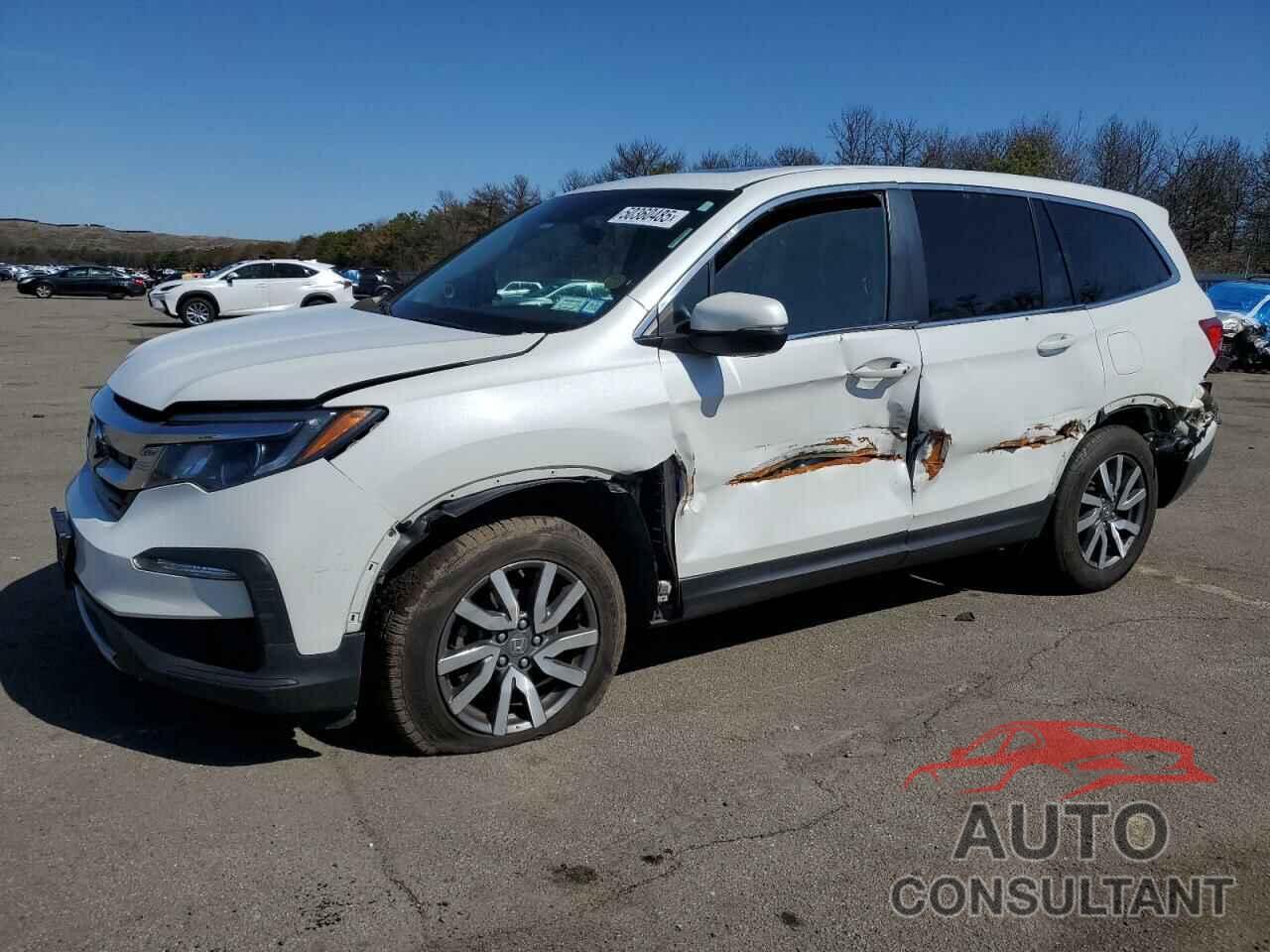 HONDA PILOT 2021 - 5FNYF6H59MB051833