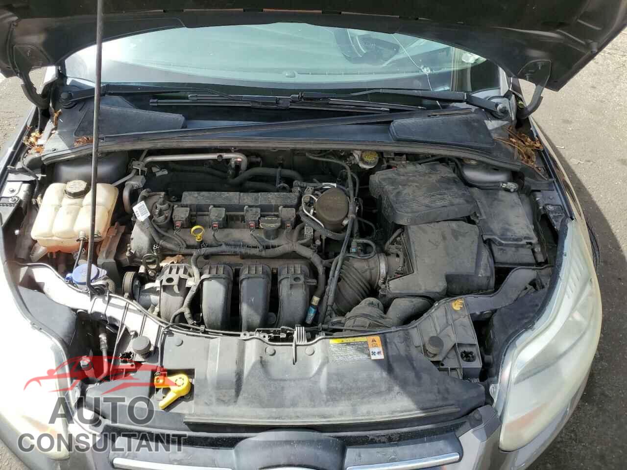 FORD FOCUS 2013 - 1FADP3K25DL190398