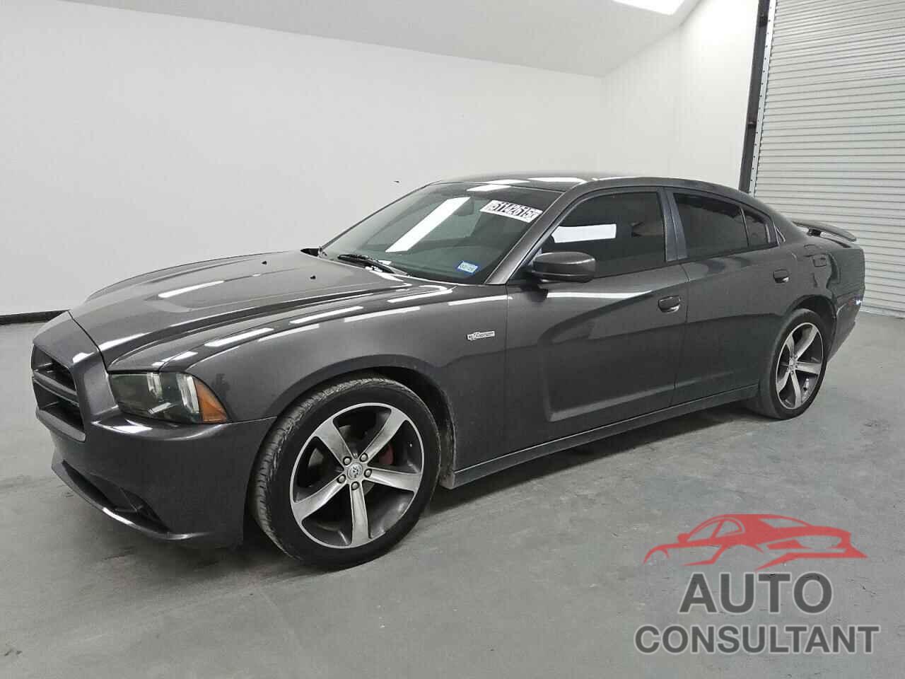 DODGE CHARGER 2014 - 2C3CDXHG1EH319488