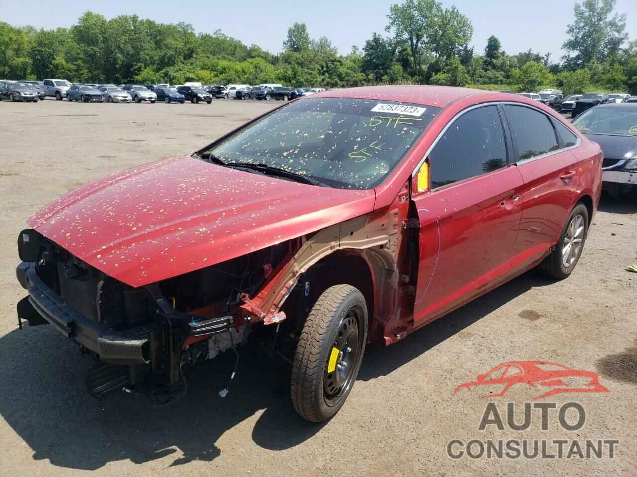 HYUNDAI SONATA 2019 - 5NPE24AF7KH793586