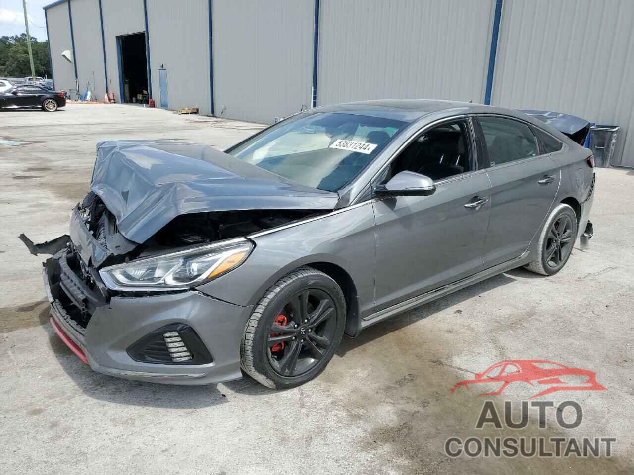 HYUNDAI SONATA 2019 - 5NPE34AF3KH733916