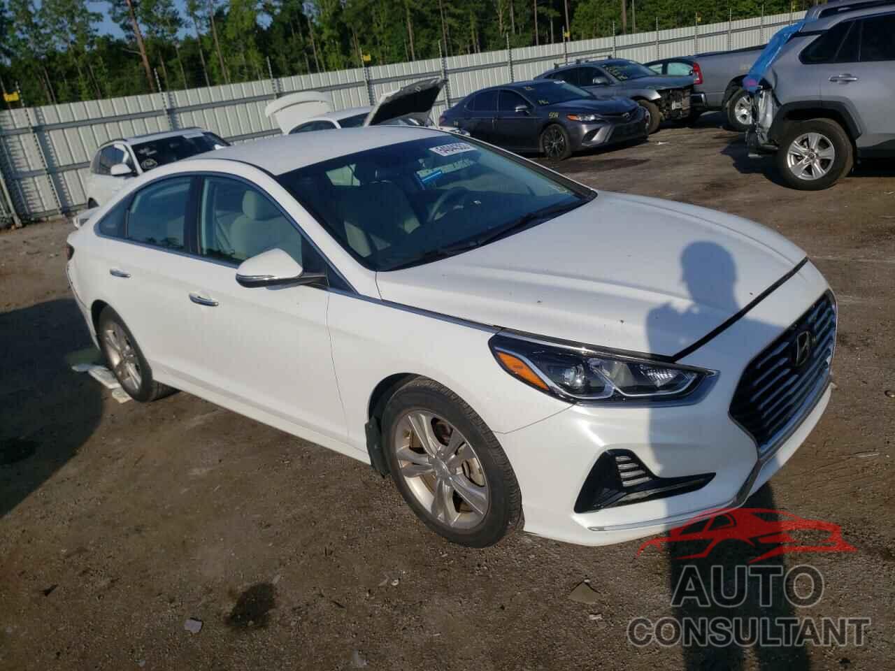 HYUNDAI SONATA 2018 - 5NPE34AFXJH646173