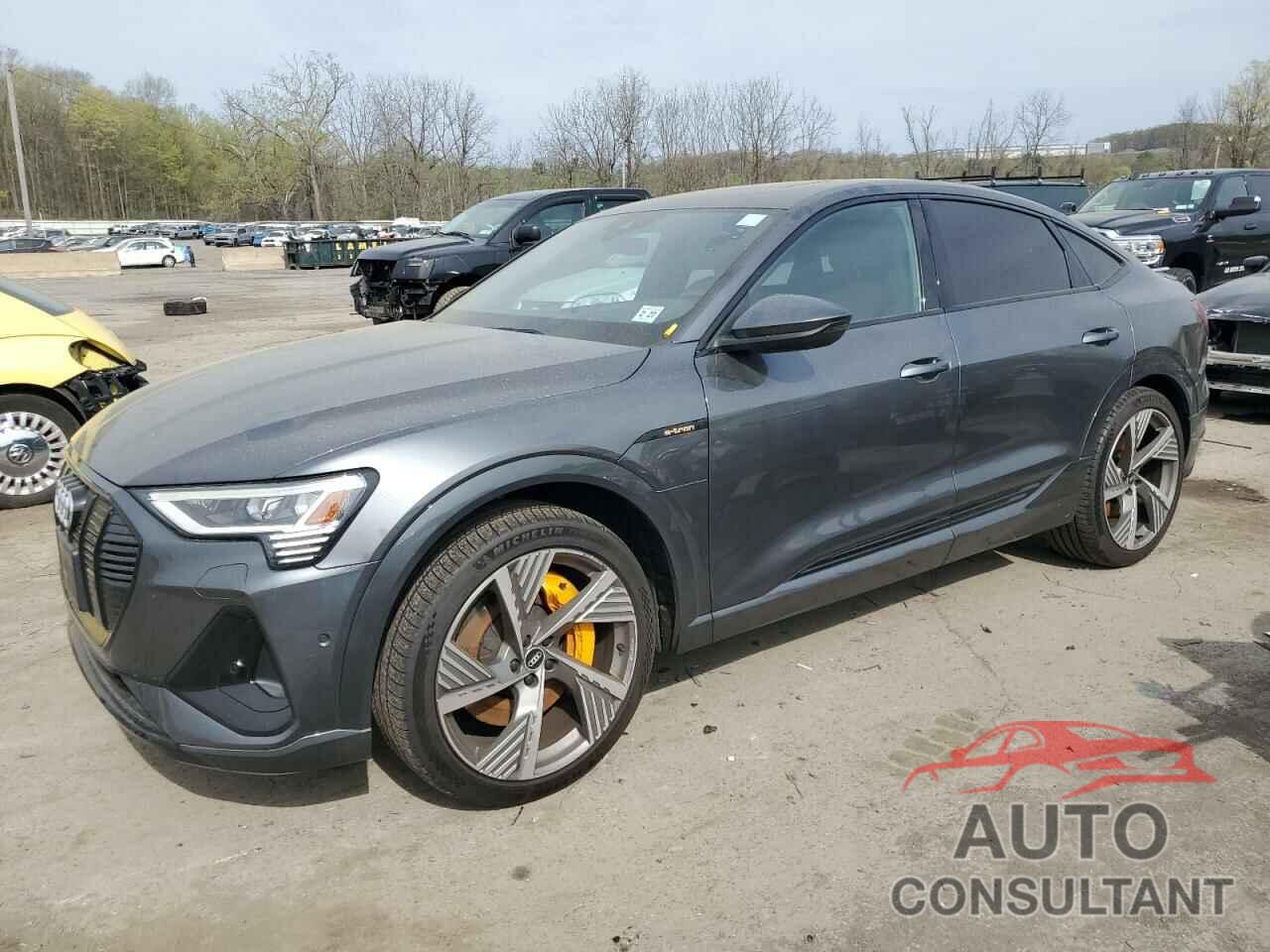 AUDI E-TRON 2022 - WA13AAGEXNB007433