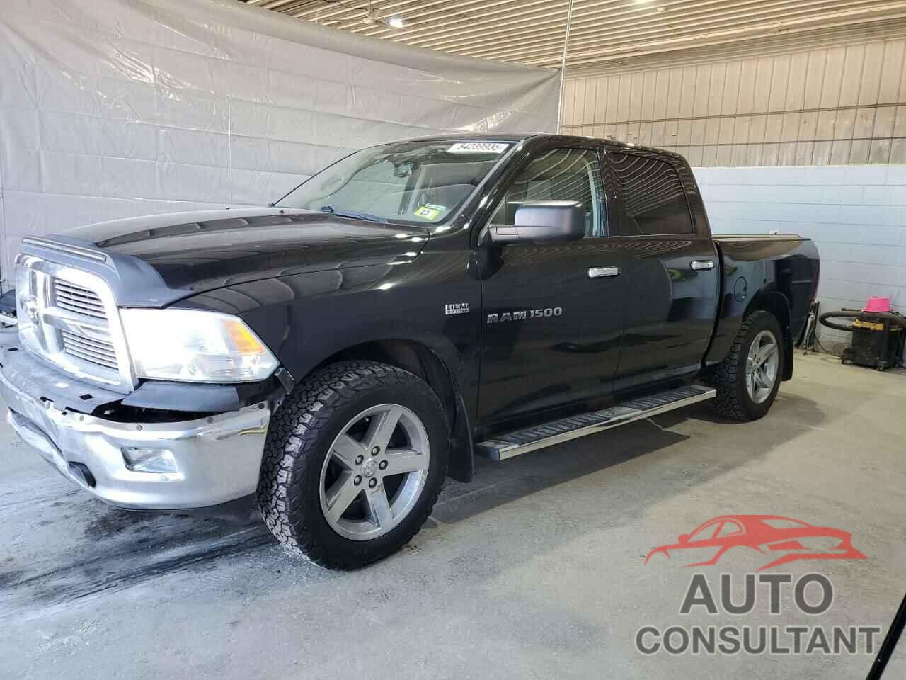 DODGE All Models 2011 - 1D7RV1CTXBS659656