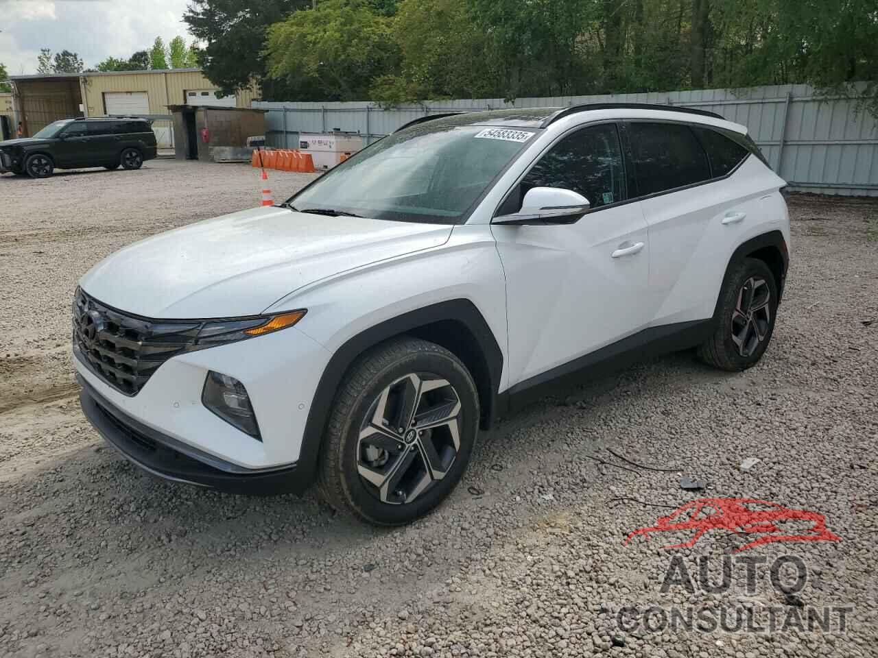 HYUNDAI TUCSON 2024 - KM8JECD19RU177108
