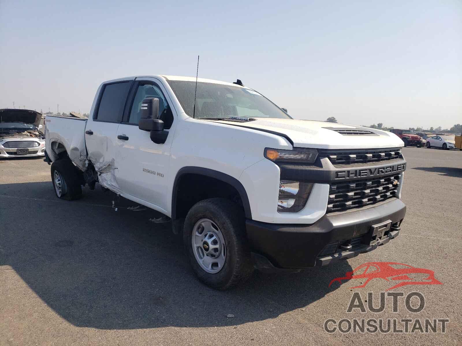 CHEVROLET SILVERADO 2020 - 1GC4YLEY7LF319455