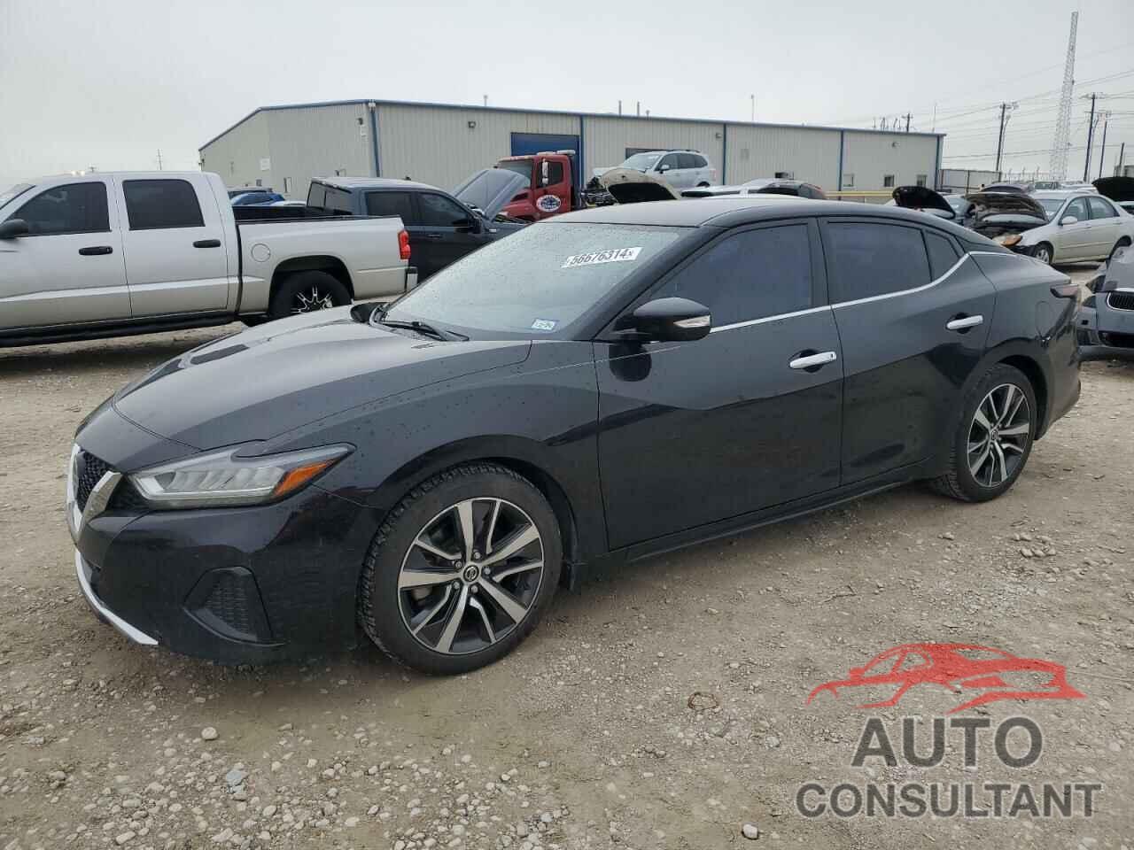 NISSAN MAXIMA 2019 - 1N4AA6AV8KC385023