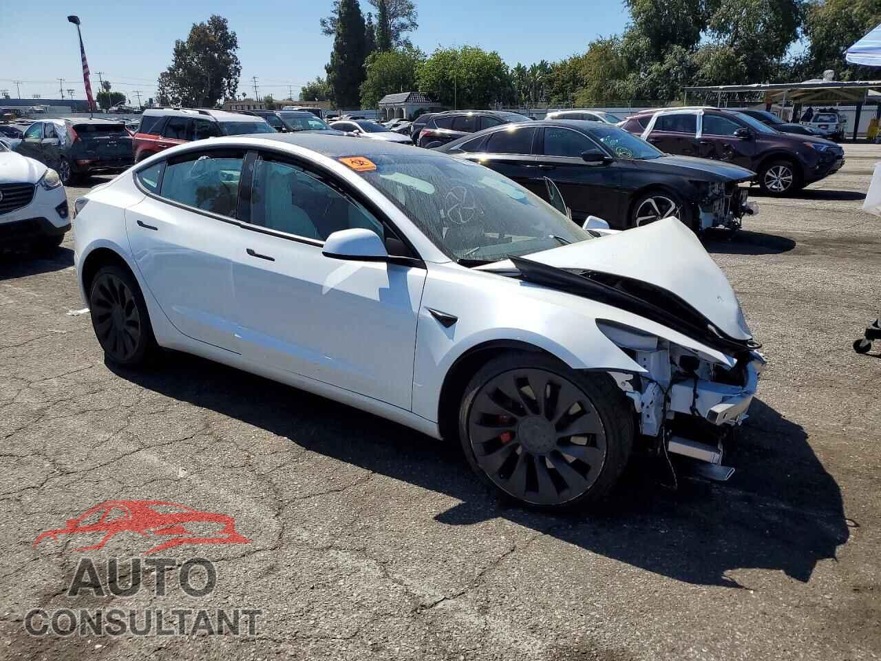 TESLA MODEL 3 2021 - 5YJ3E1EC0MF064182