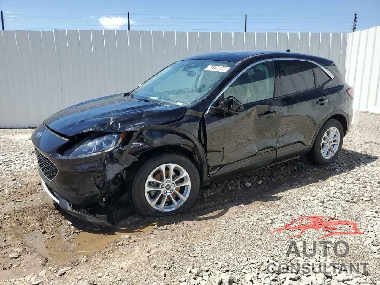 FORD ESCAPE 2022 - 1FMCU0G67NUB31384