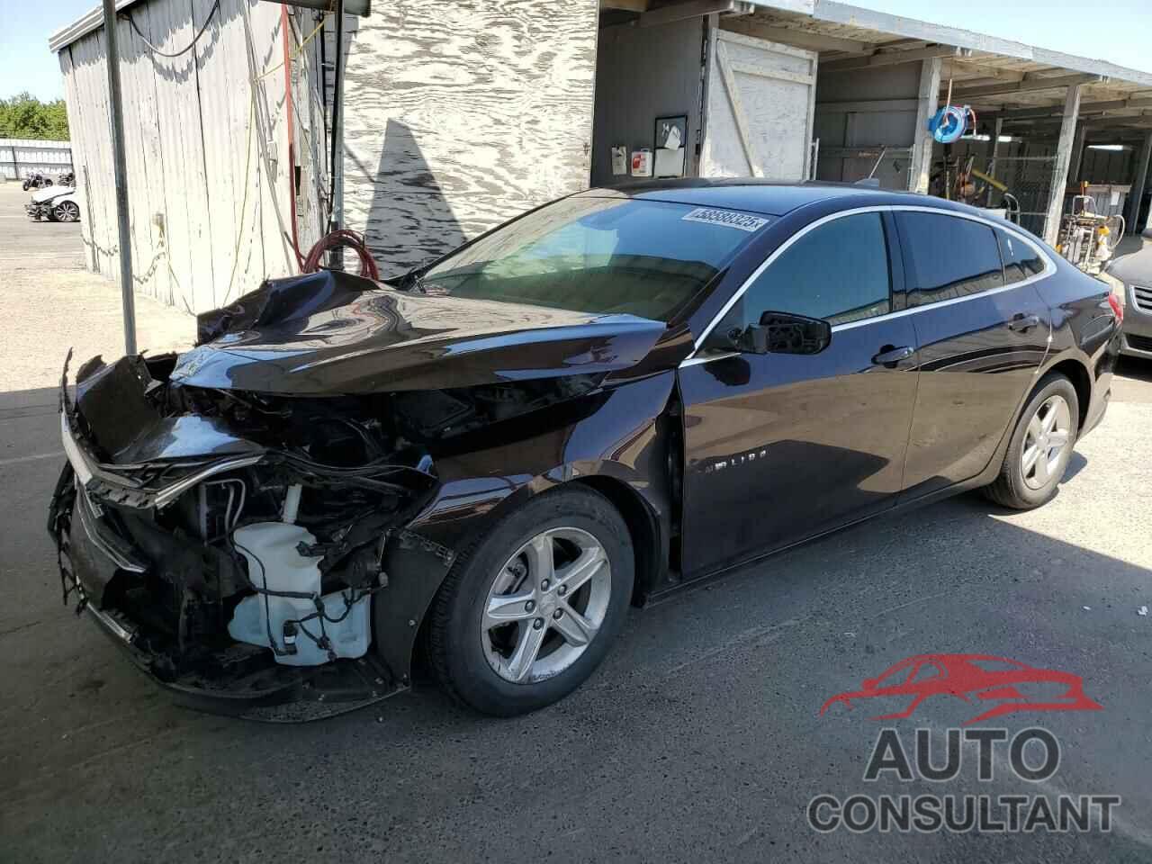 CHEVROLET MALIBU 2021 - 1G1ZC5ST7MF083232