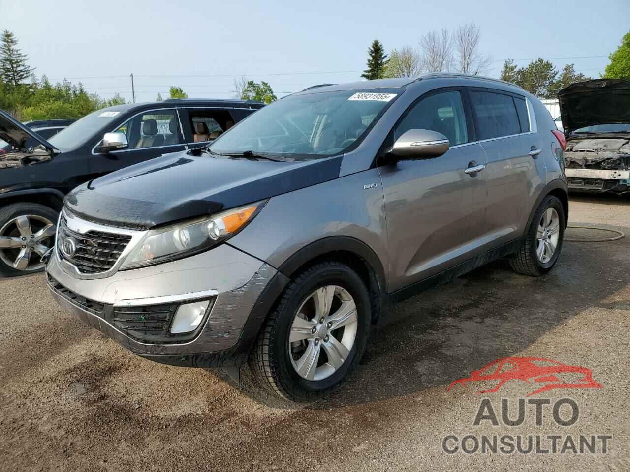 KIA SPORTAGE 2011 - KNDPCCA27B7103675