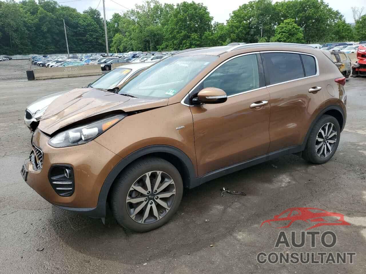 KIA SPORTAGE 2019 - KNDPNCACXK7499216