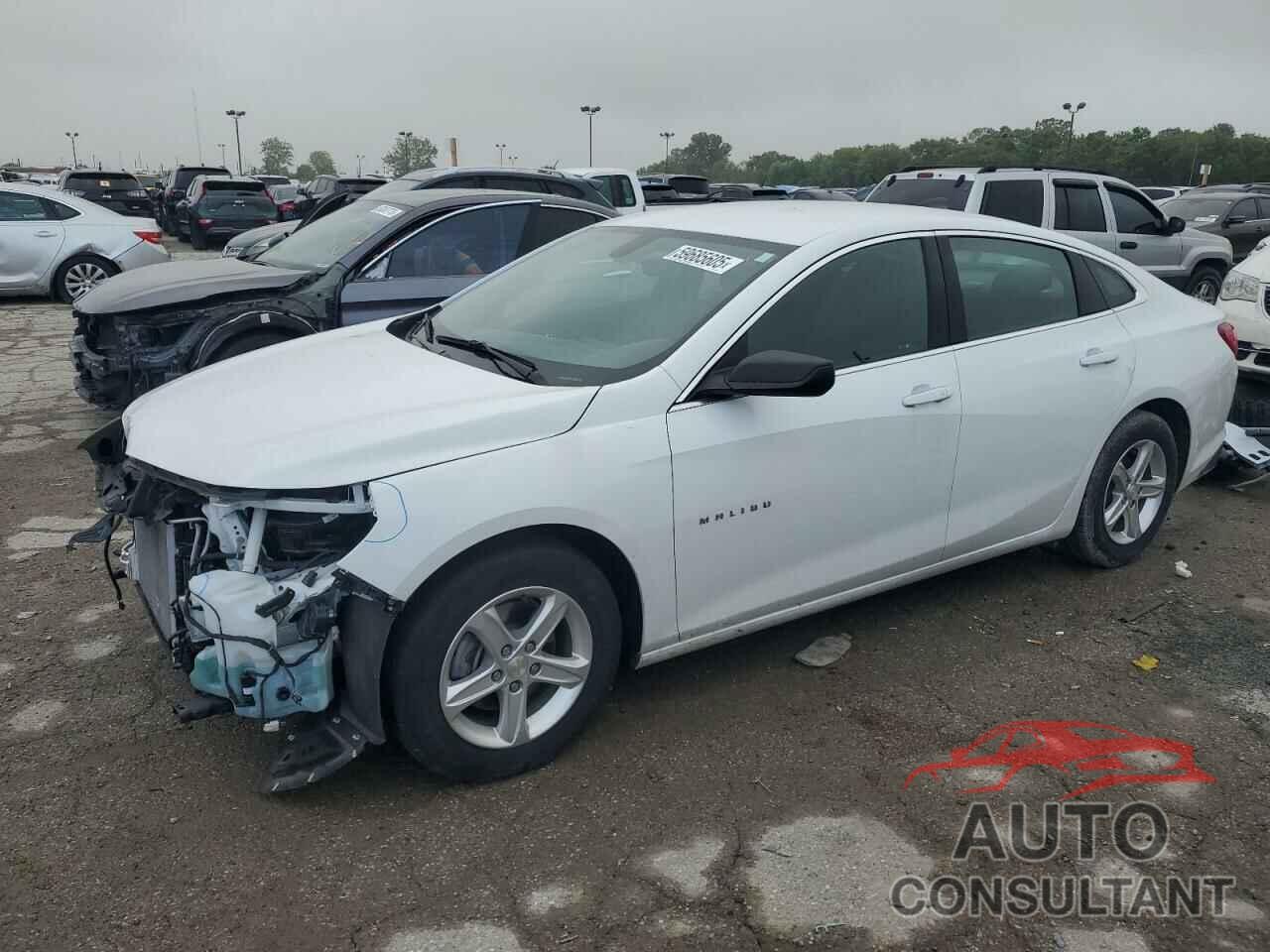 CHEVROLET MALIBU 2022 - 1G1ZB5ST5NF208846