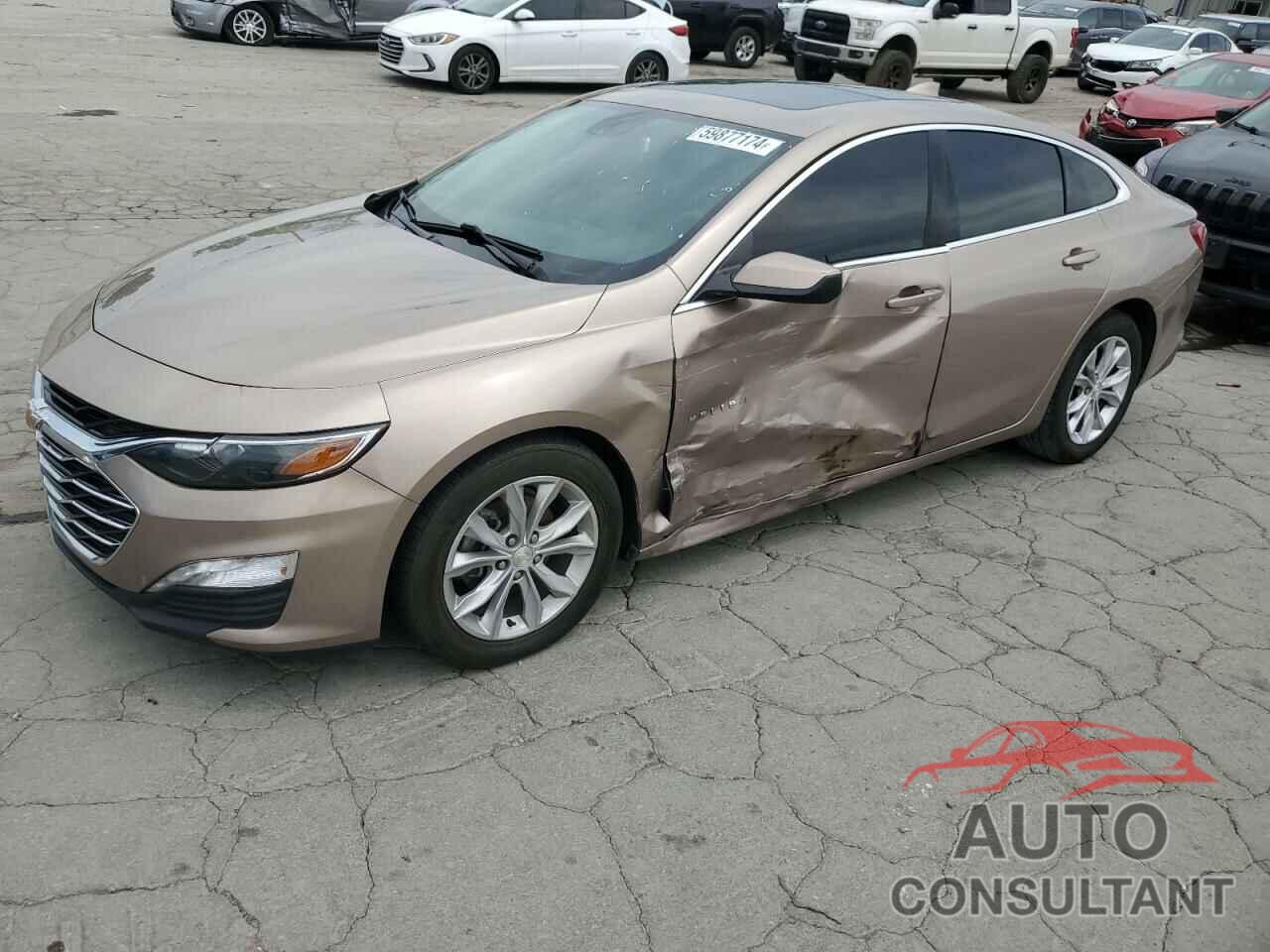 CHEVROLET MALIBU 2019 - 1G1ZD5ST7KF119804