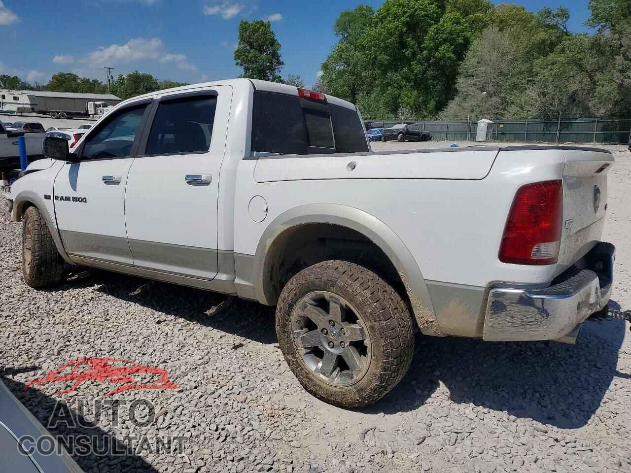 DODGE RAM 1500 2011 - 1D7RV1CT8BS654312