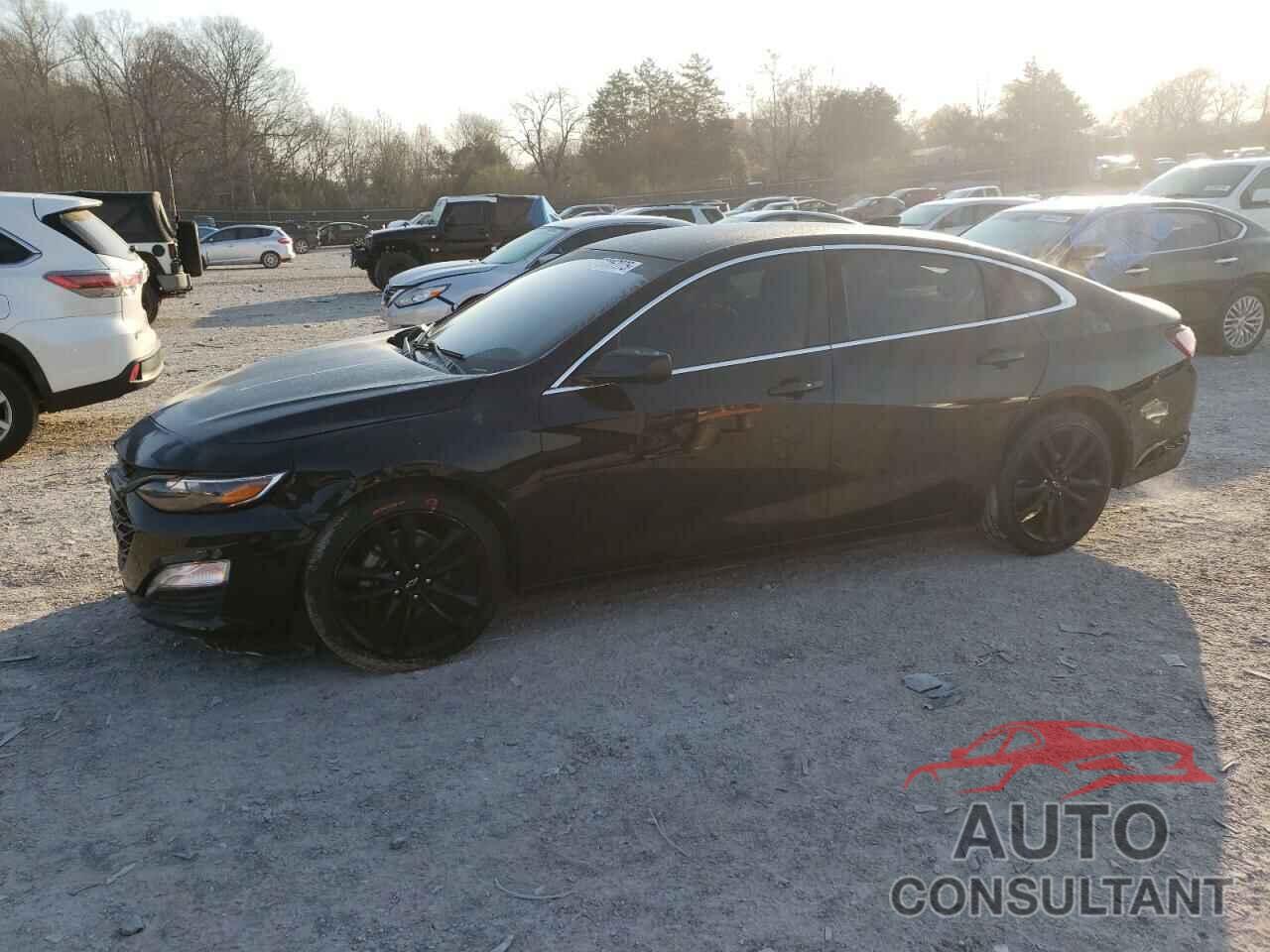 CHEVROLET MALIBU 2021 - 1G1ZD5ST8MF019178