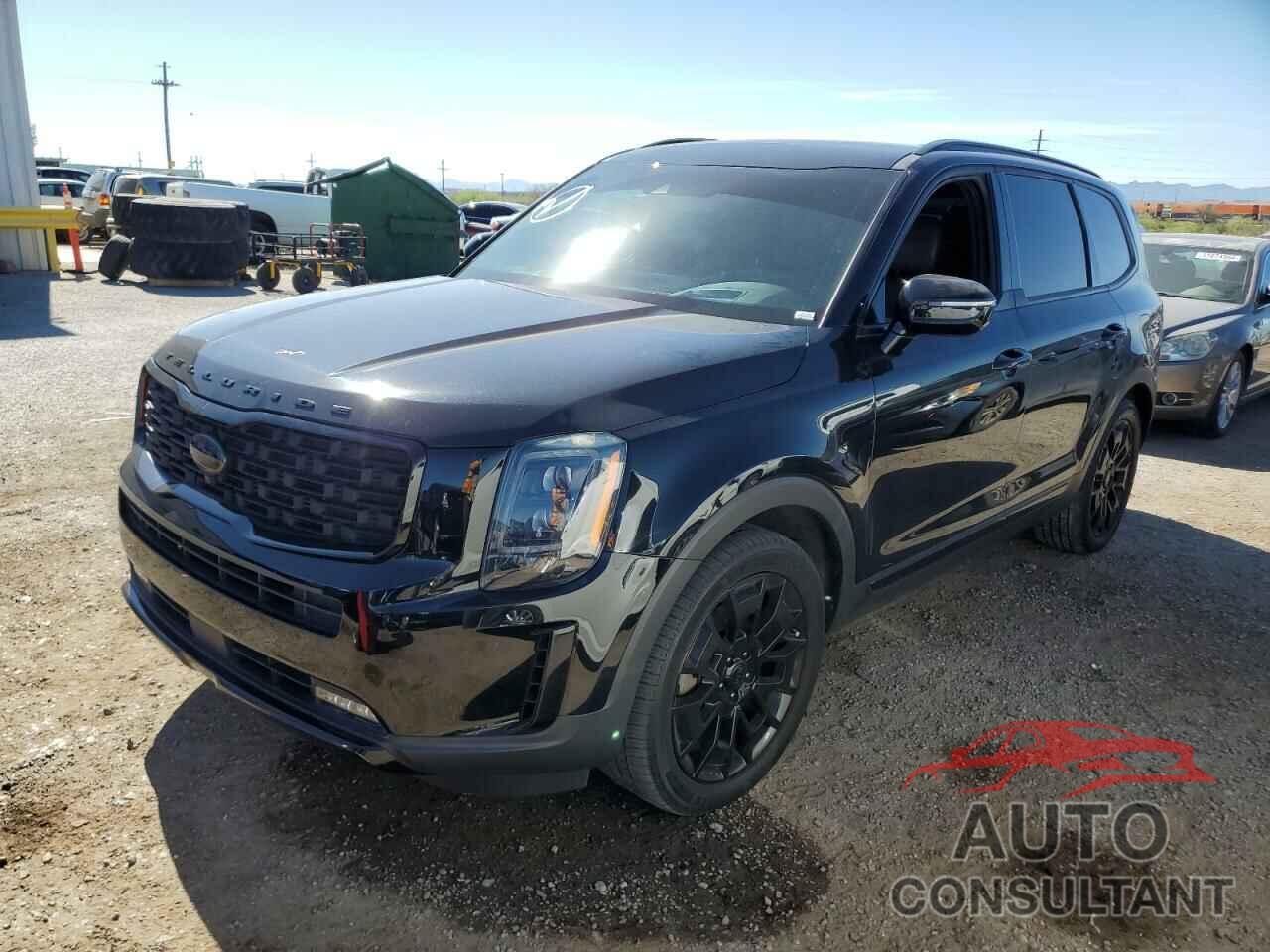 KIA TELLURIDE 2021 - 5XYP5DHC0MG115641