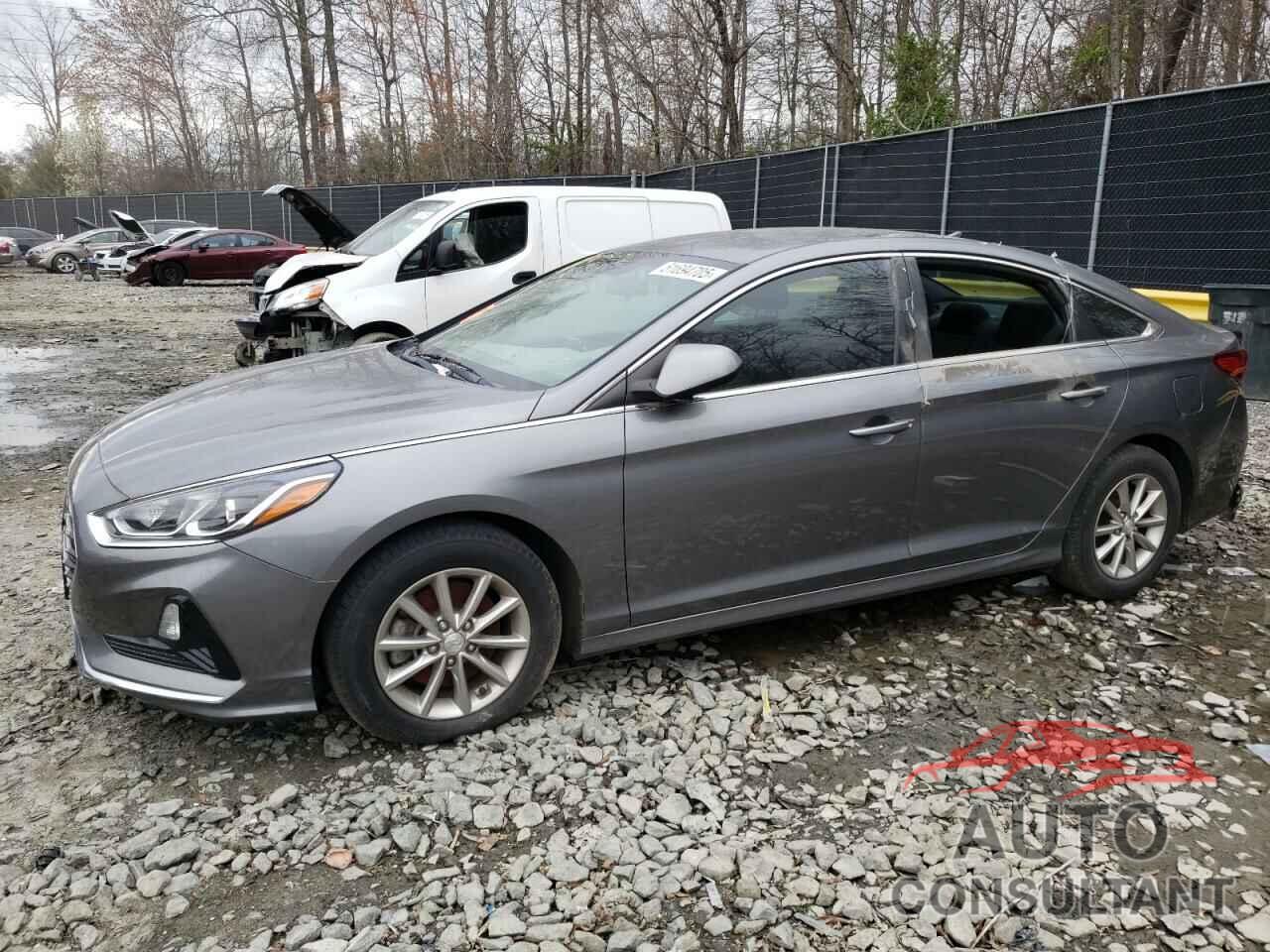 HYUNDAI SONATA 2019 - 5NPE24AF6KH777217