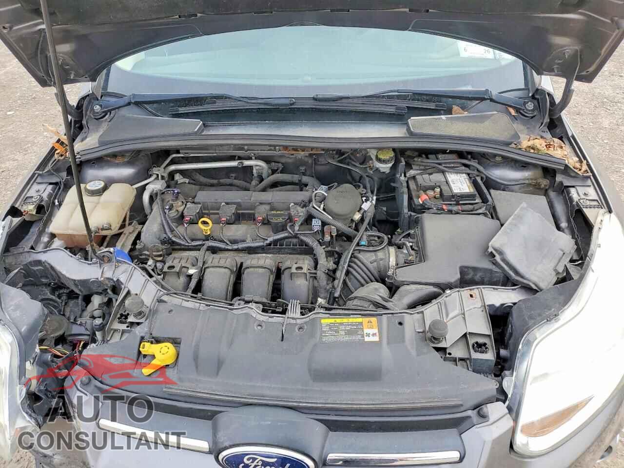 FORD FOCUS 2013 - 1FADP3F23DL164716