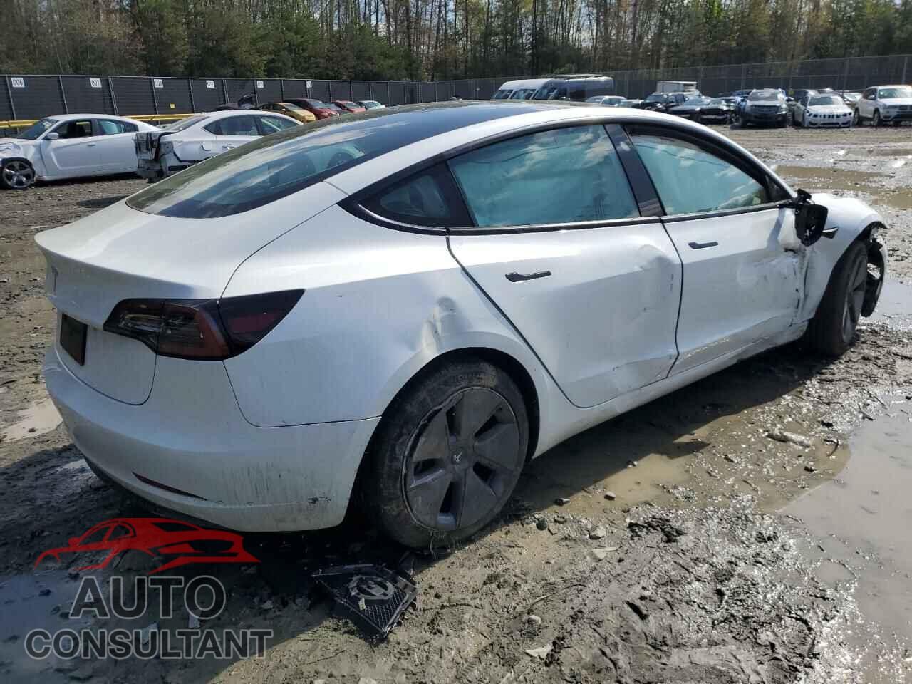 TESLA MODEL 3 2023 - 5YJ3E1EA2PF541830