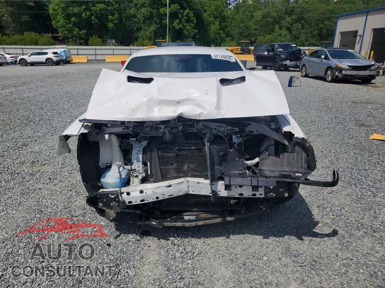 DODGE CHALLENGER 2019 - 2C3CDZGGXKH628157