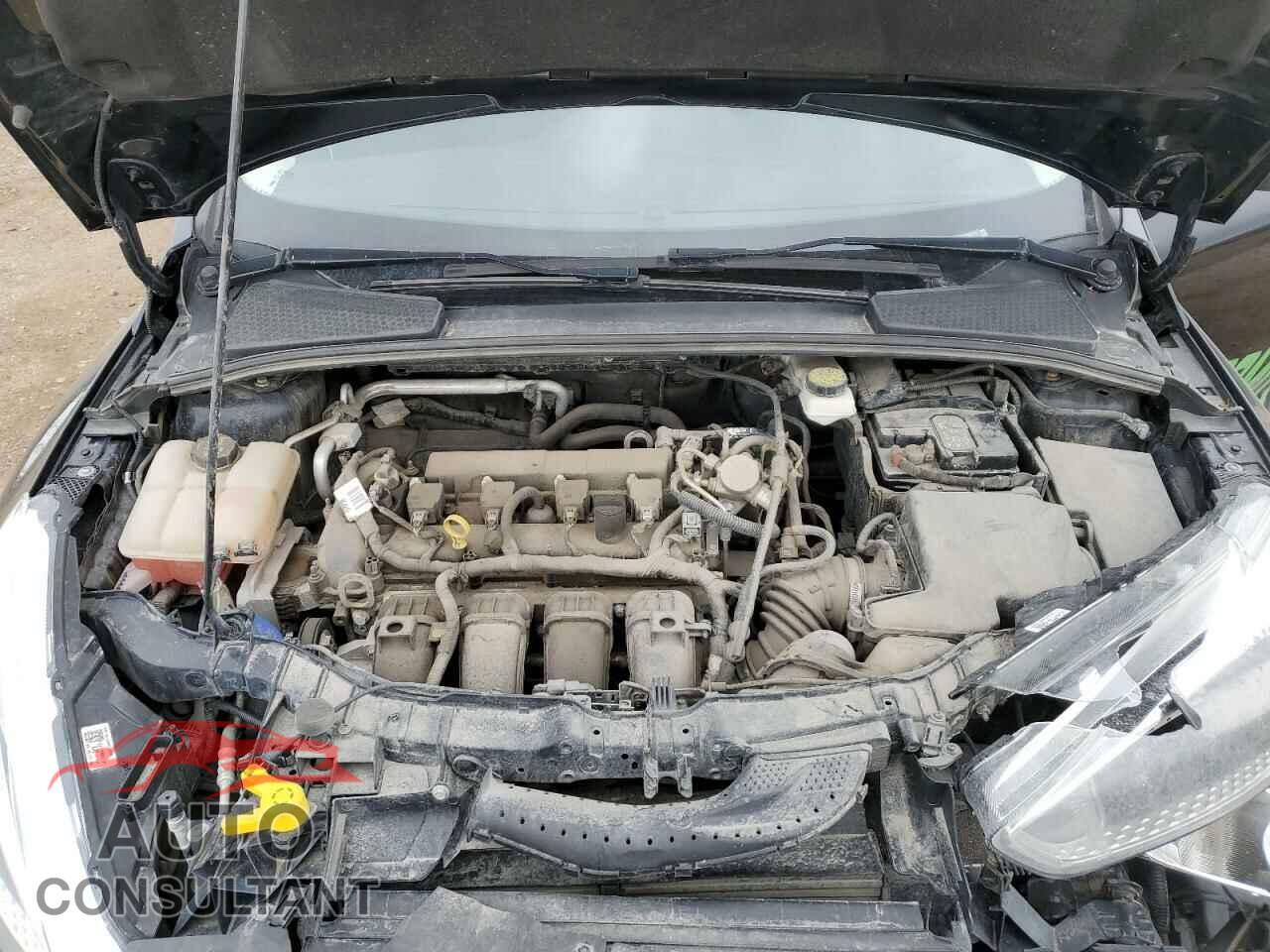 FORD FOCUS 2017 - 1FADP3K28HL293112