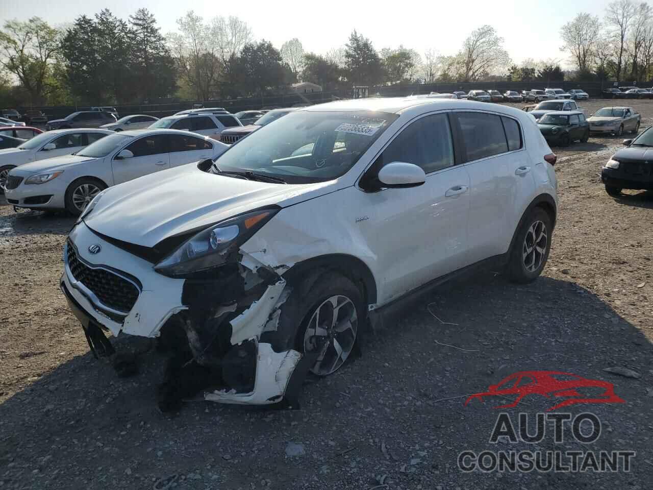 KIA SPORTAGE 2022 - KNDPMCACXN7966948