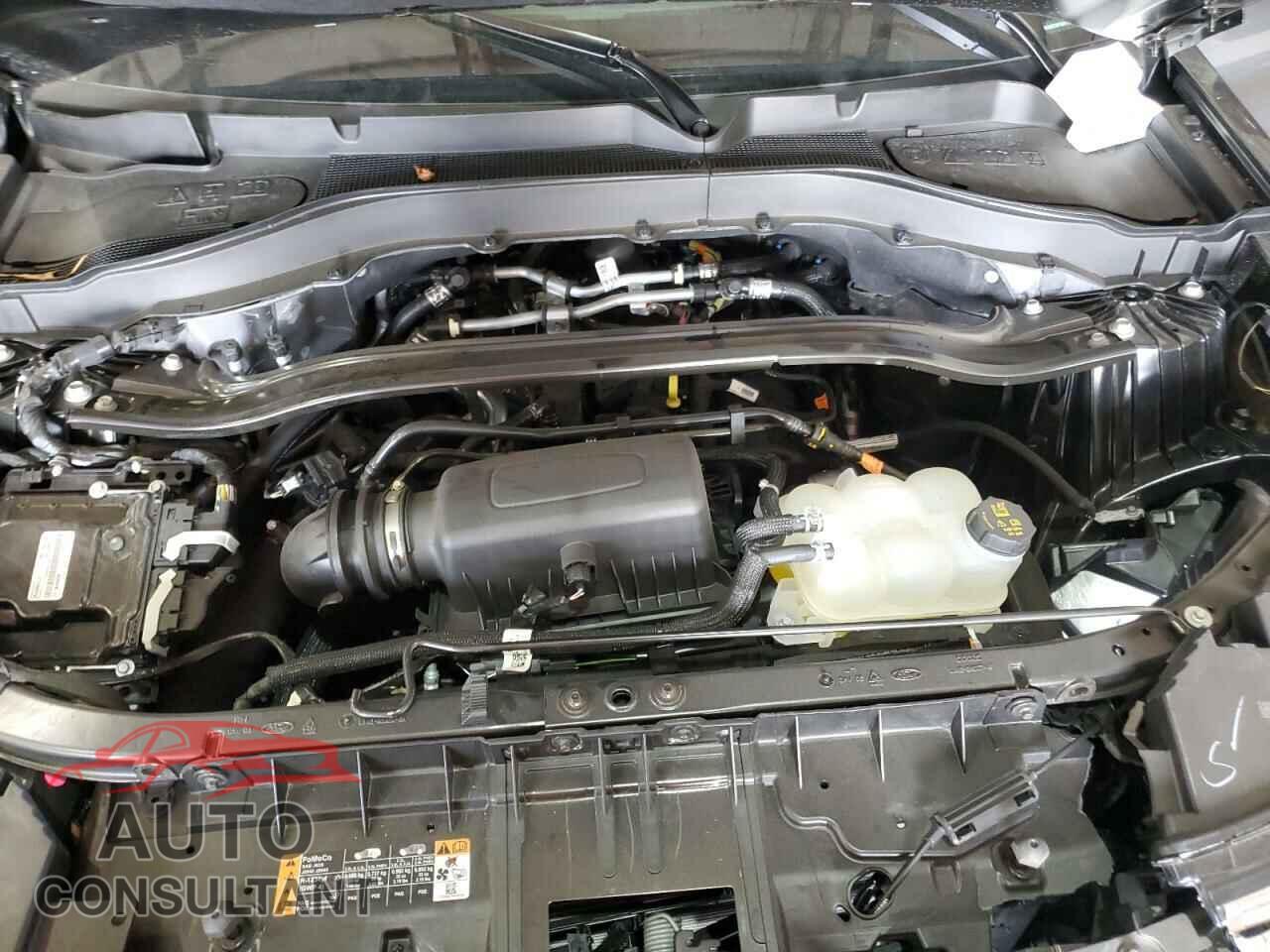 FORD EXPLORER 2023 - 1FMSK8FH8PGB51521