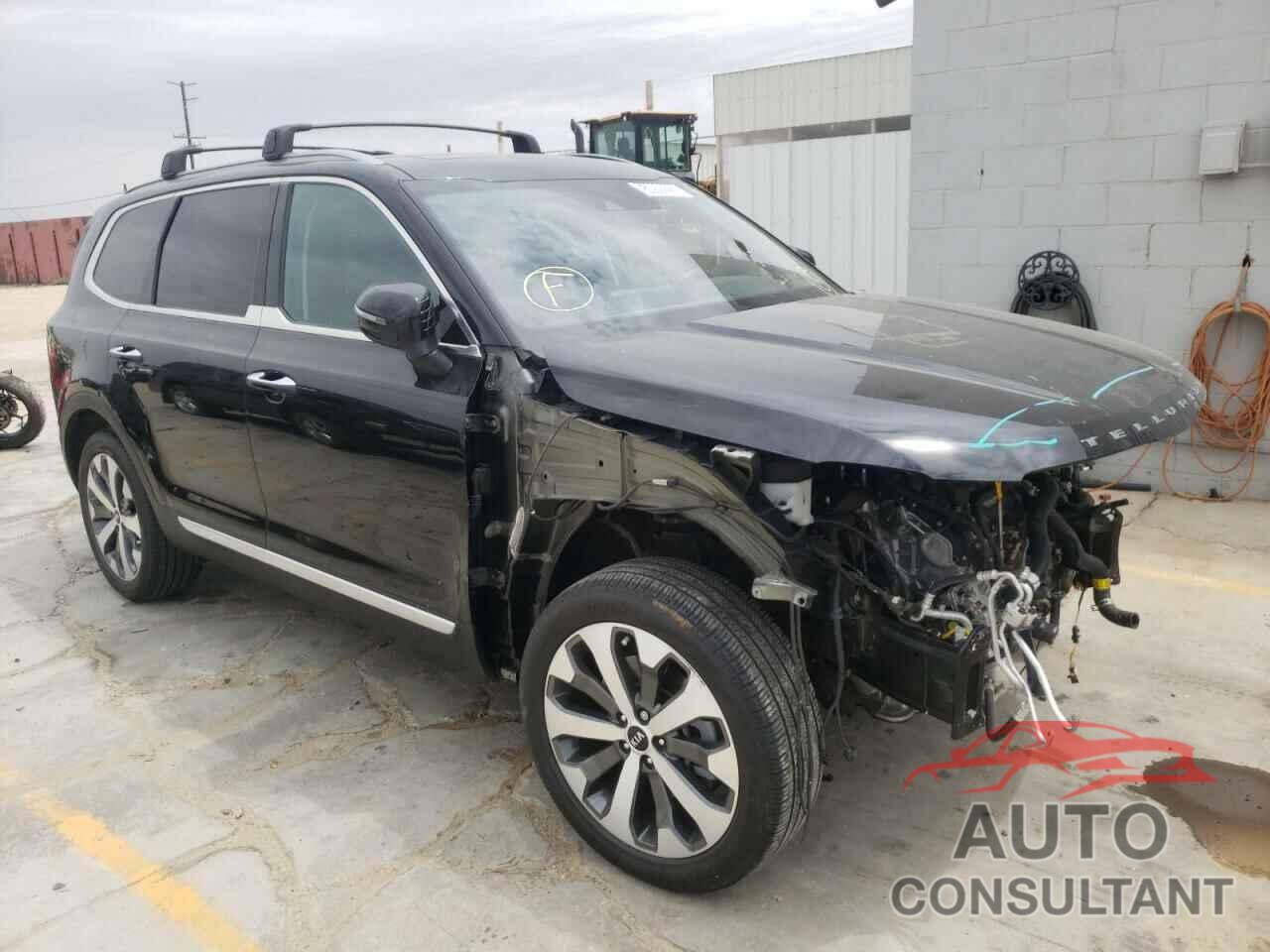 KIA TELLURIDE 2021 - 5XYP64HC3MG154270