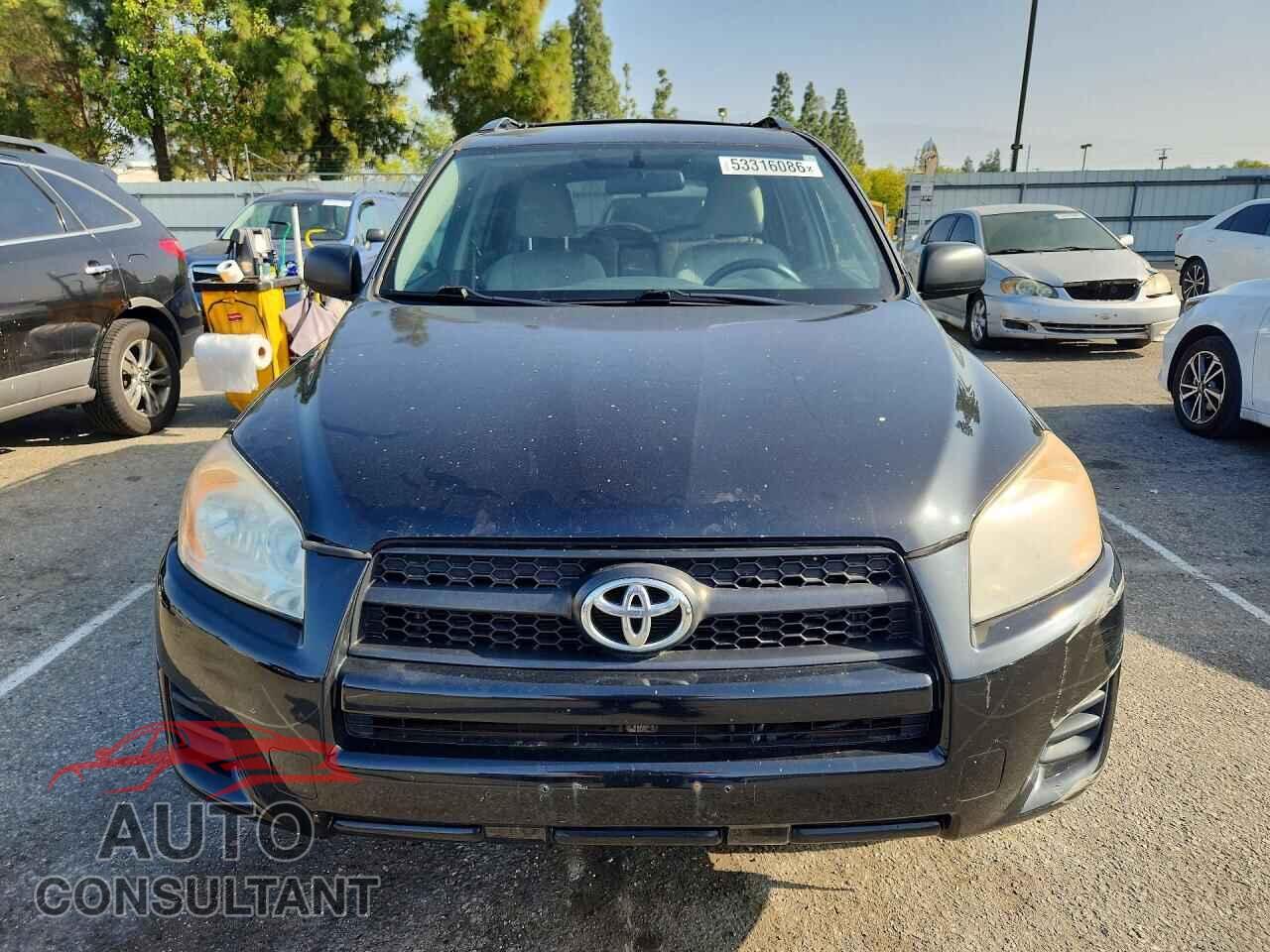 TOYOTA RAV4 2011 - 2T3BF4DV1BW161380