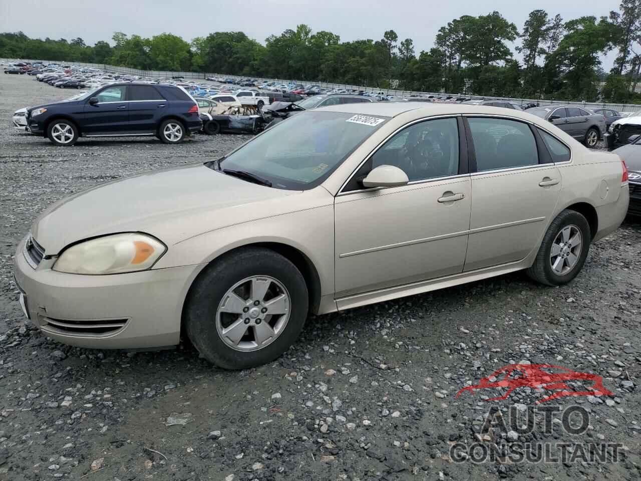CHEVROLET IMPALA 2011 - 2G1WF5EK5B1130775