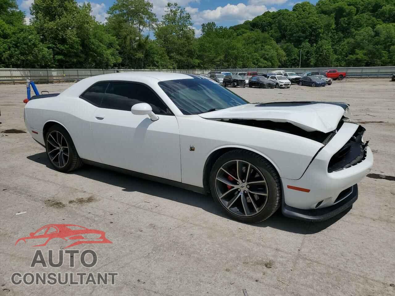 DODGE CHALLENGER 2018 - 2C3CDZFJ0JH338795