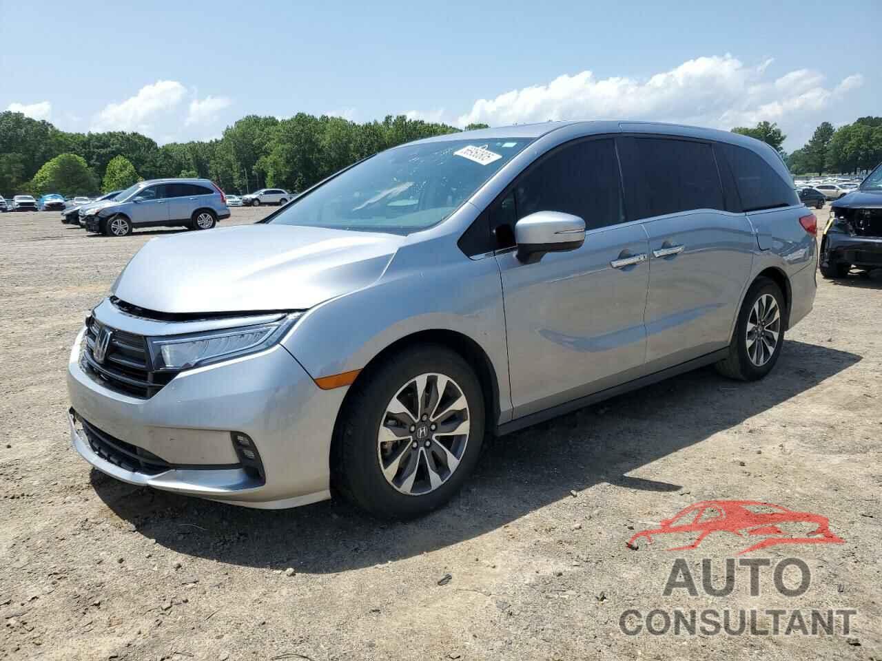 HONDA All Models 2021 - 5FNRL6H77MB034401