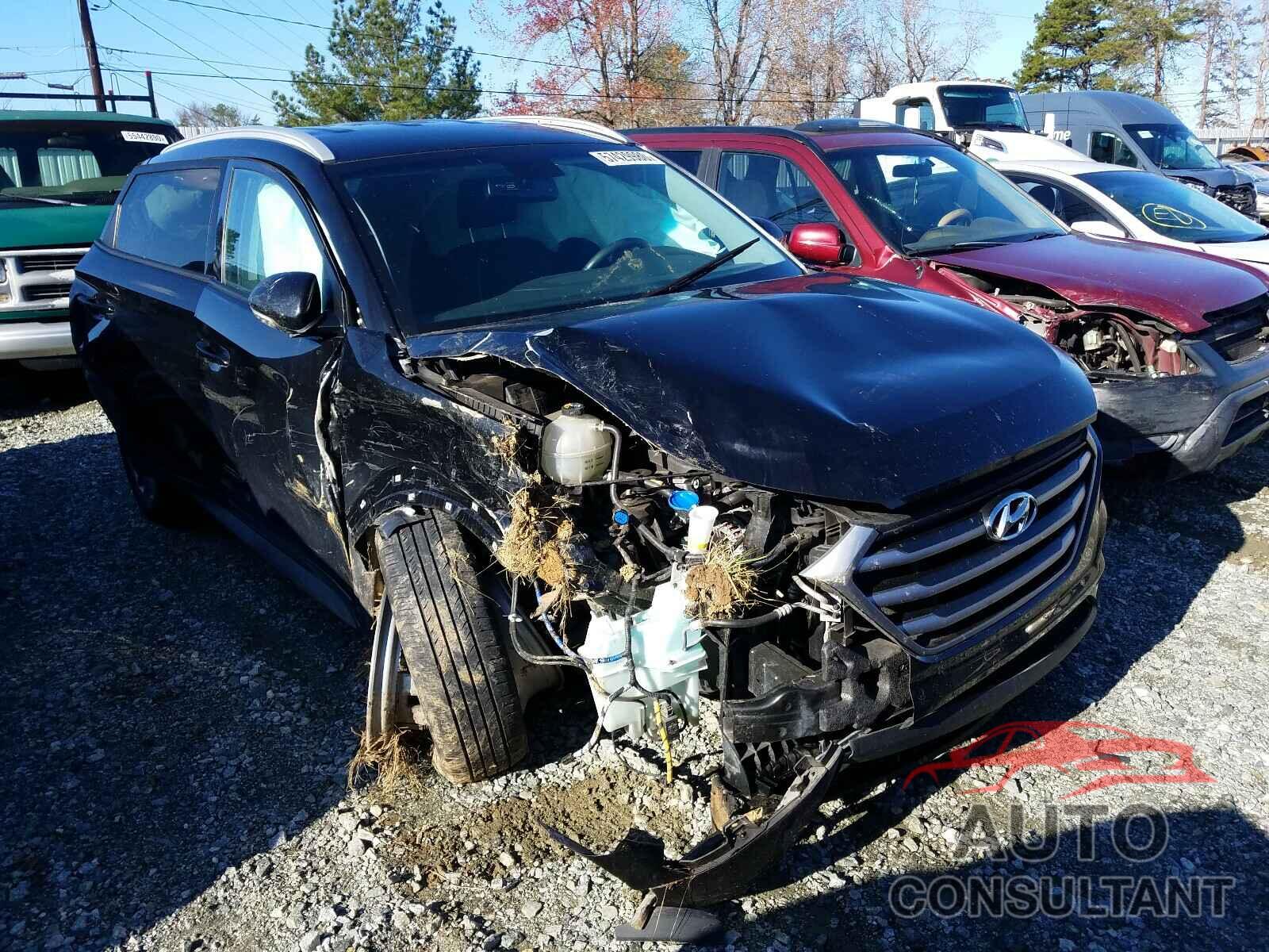 HYUNDAI TUCSON 2017 - KM8J33A47HU381263