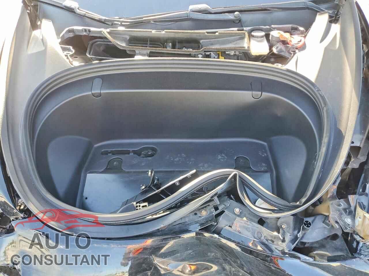 TESLA MODEL 3 2019 - 5YJ3E1EA0KF316993