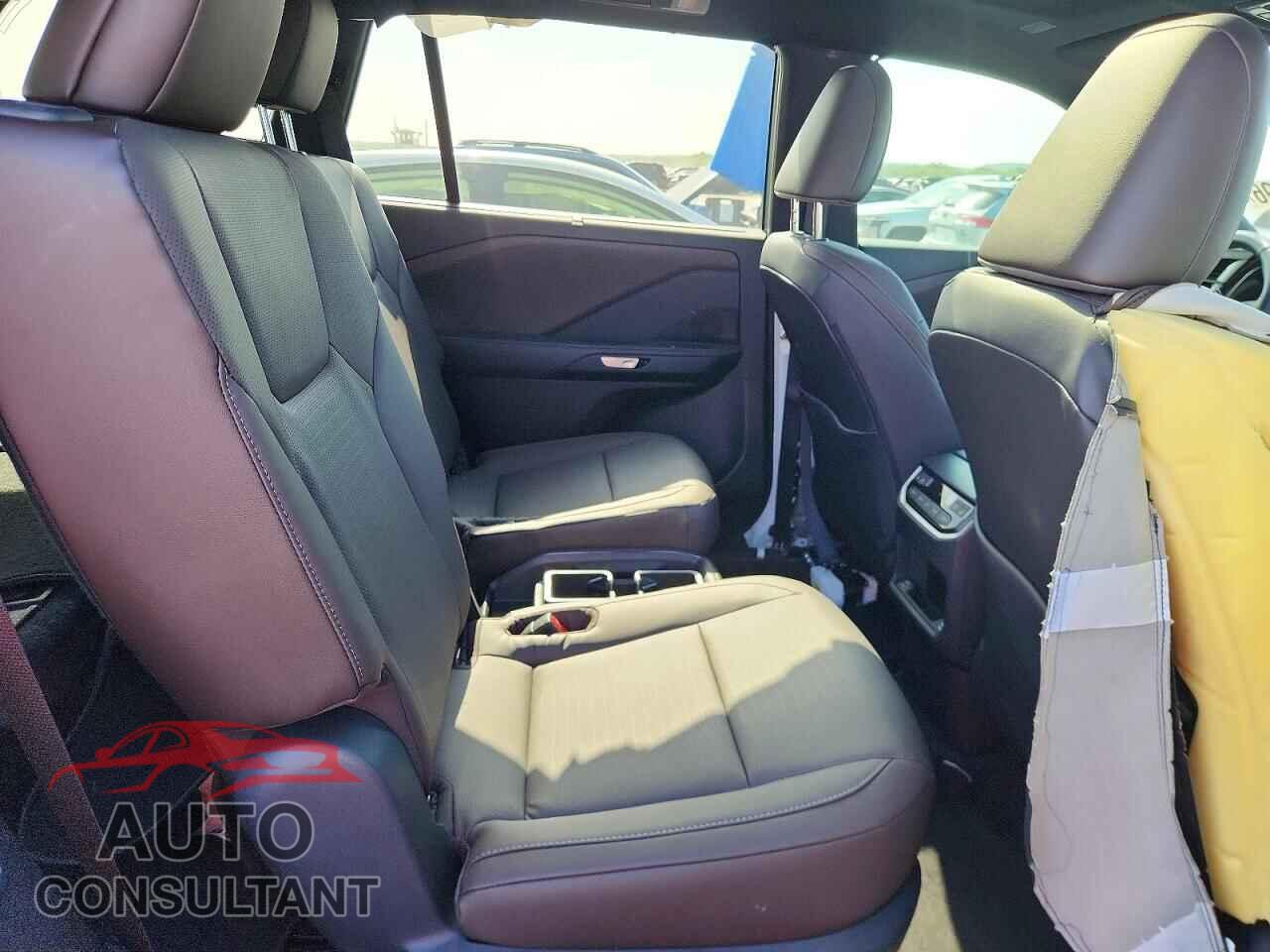 LEXUS UNKNOWN 2026 - 5TDAAAB6XTS053976