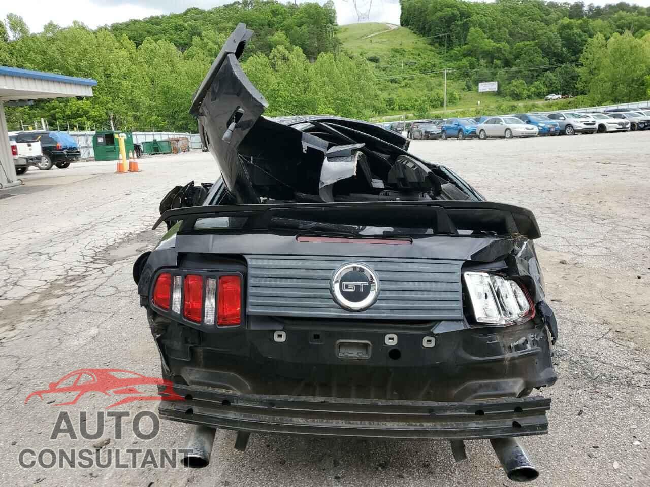 FORD MUSTANG 2011 - 1ZVBP8CF0B5121990