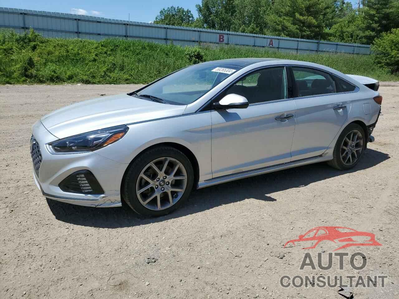 HYUNDAI SONATA 2019 - 5NPE34AB8KH804119