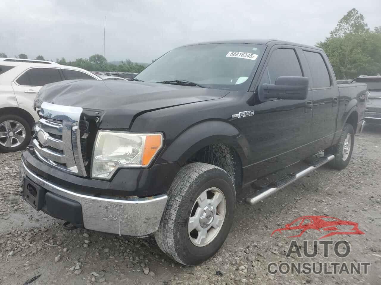 FORD F-150 2009 - 1FTPW14V49FA55859