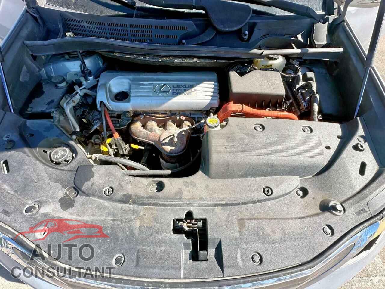 LEXUS HS 2010 - JTHBB1BA7A2029224