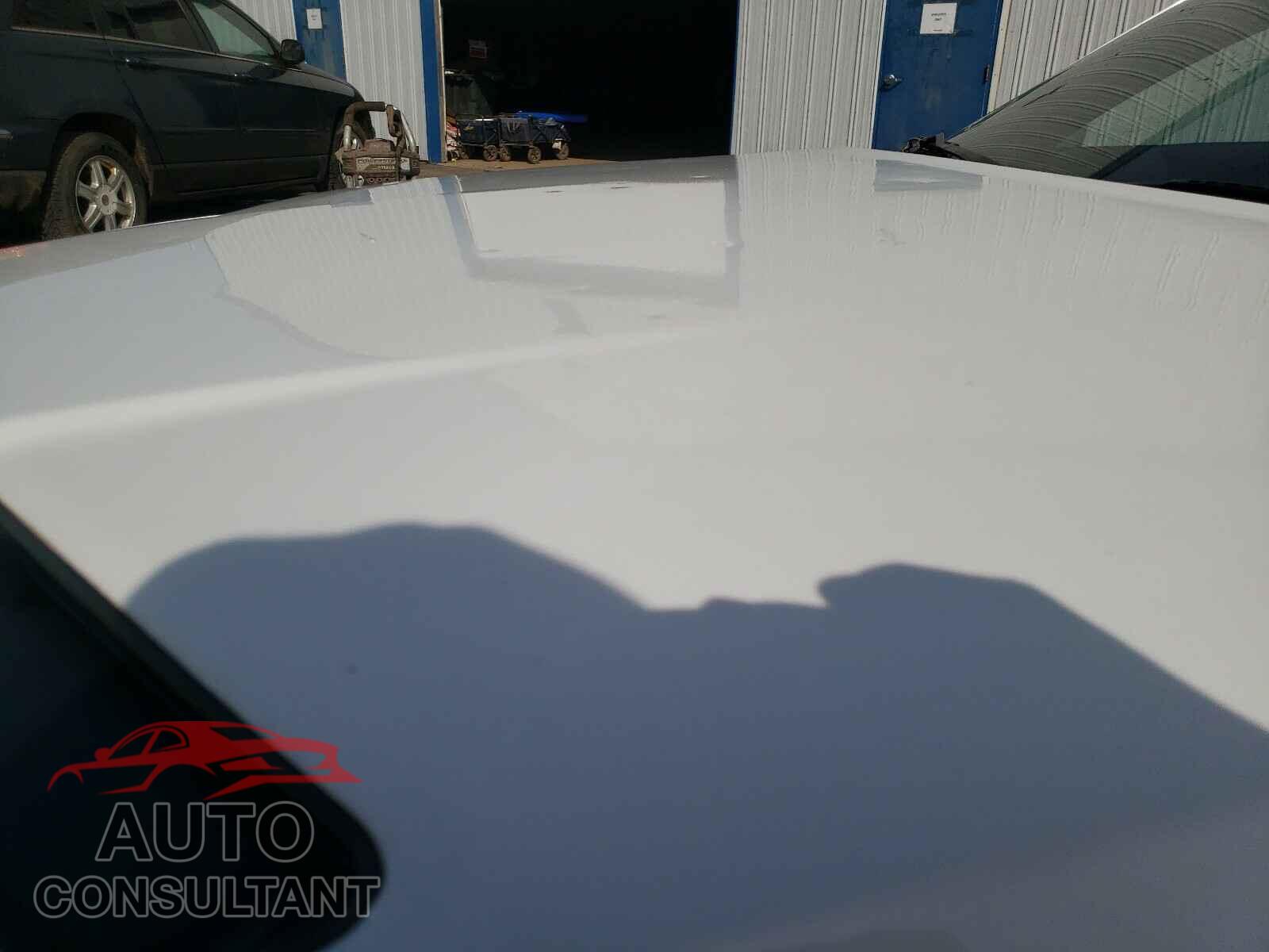 DODGE CHALLENGER 2019 - 2C3CDZAG7KH694111