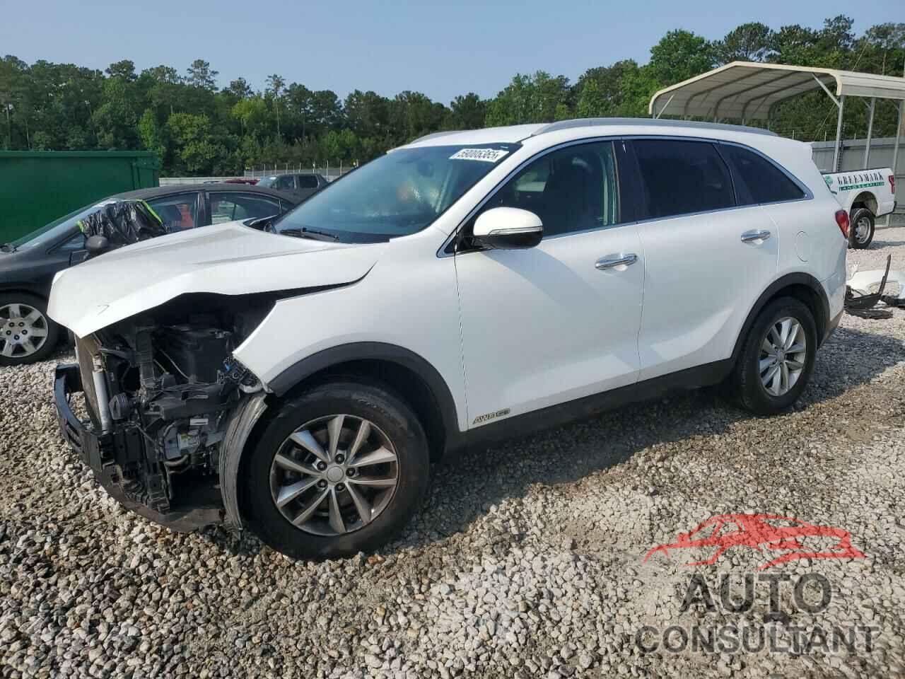 KIA SORENTO 2016 - 5XYPGDA50GG178457