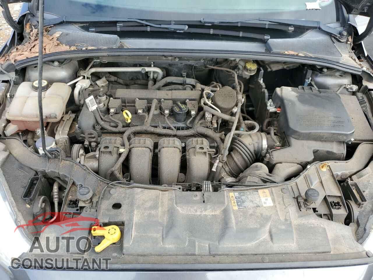 FORD FOCUS 2015 - 1FADP3F2XFL299534