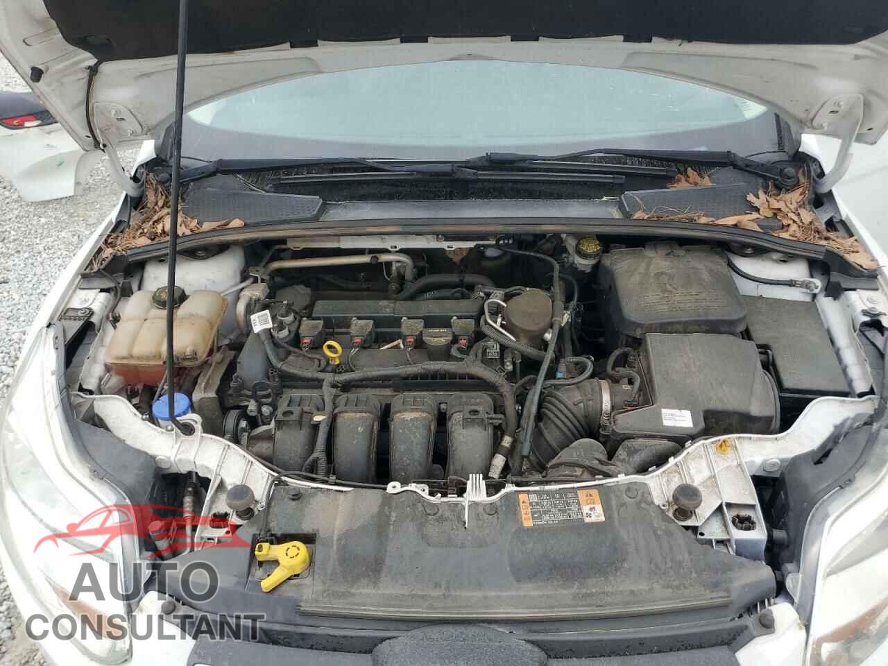 FORD FOCUS 2014 - 1FADP3F23EL334400
