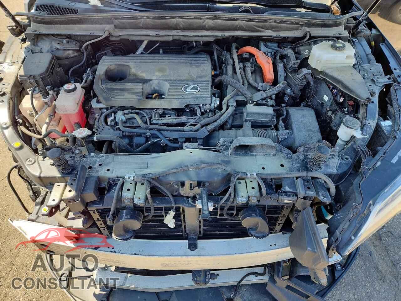 LEXUS UNKNOWN 2023 - 2T2BBMCA6PC017105