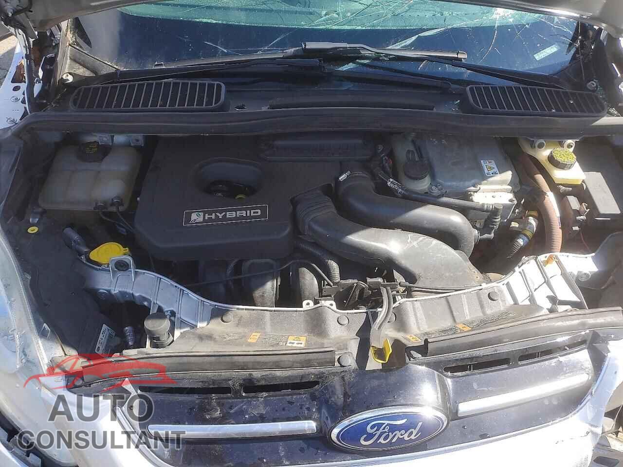 FORD CMAX 2014 - 1FADP5AU0EL519220