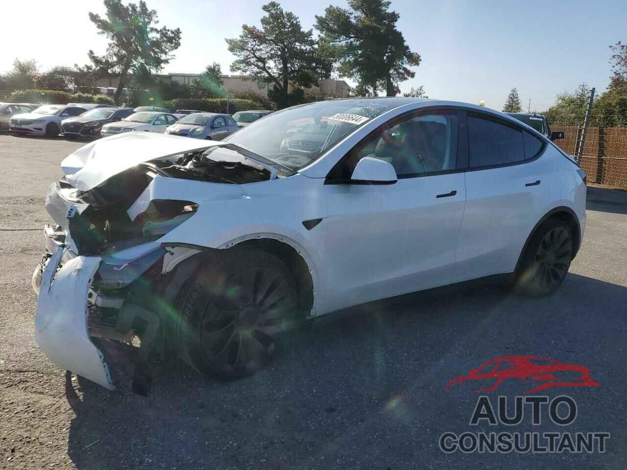 TESLA MODEL Y 2023 - 7SAYGDEF4PF899592