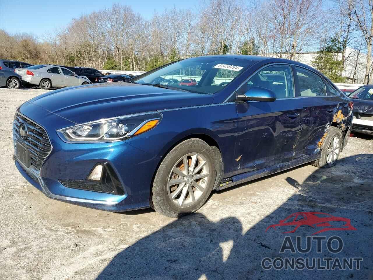 HYUNDAI SONATA 2019 - 5NPE24AF3KH806771